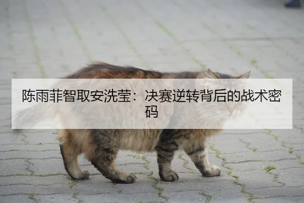 陈雨菲智取安洗莹：决赛逆转背后的战术密码