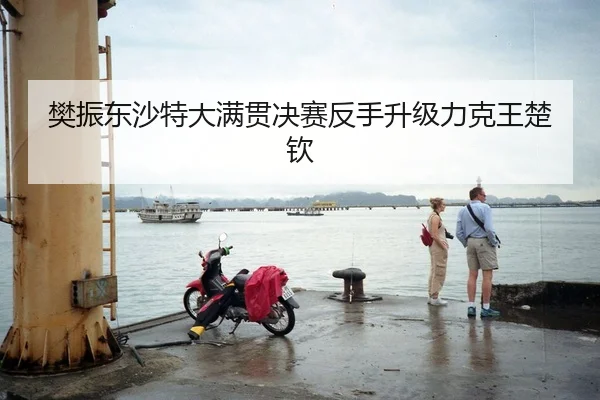 樊振东沙特大满贯决赛反手升级力克王楚钦
