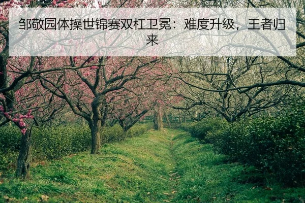 邹敬园体操世锦赛双杠卫冕：难度升级，王者归来